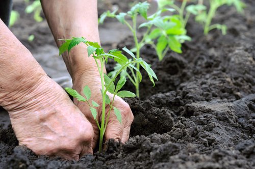 Chaseman Global granted membership status with Croplife America